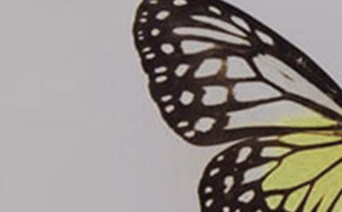 С����׃������ëë�x(ch��ng)�̰�