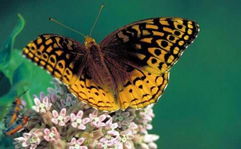 �������w��һ��1000������