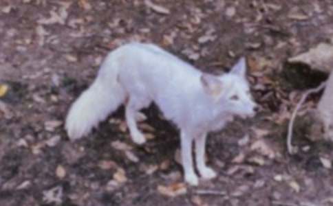 ����؂�c���f���m��(xi��)���ġ��]��