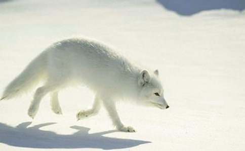 ؝�����Ǻ����ĺ�؂����450��