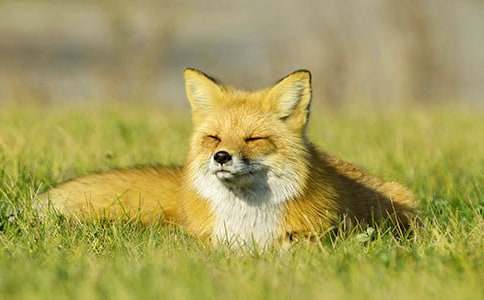 ����؂�c���f���m��(xi��)���ģ����f�ٶ����_