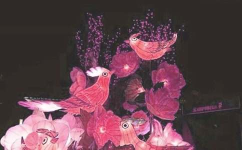 ����_���Ļ�������800��