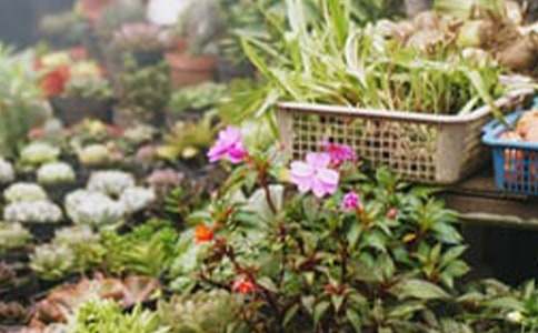 ���ٻ�����ĵ��w��(hu�� )