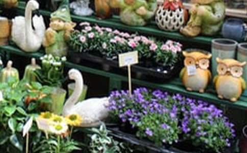 花店商業(yè)計劃書(shū)范文