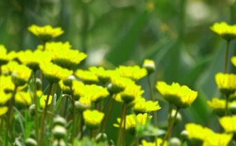 �_(k��i)��ӛ����Ļ�������(ͨ��7ƪ)