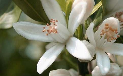 �_(k��i)��ӛ���еĻ��������600�֣�ͨ��15ƪ��