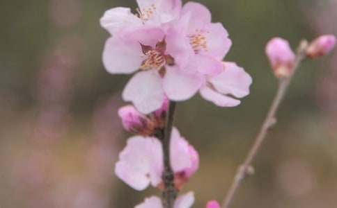 ���o����С�W(xu��)���ģ����x10ƪ��