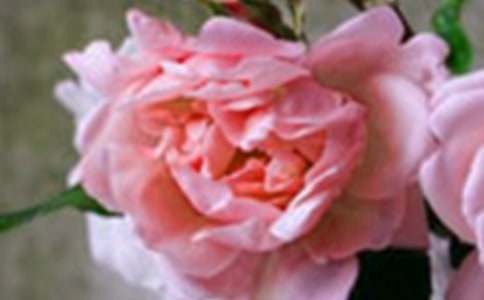 ������Ļ��䡷С�W(xu��)����