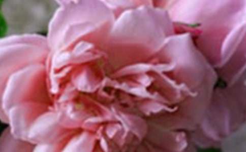 ��(xi��)ӛ���еĻ��������