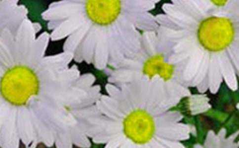 �_(k��i)��ӛ���еĻ�������