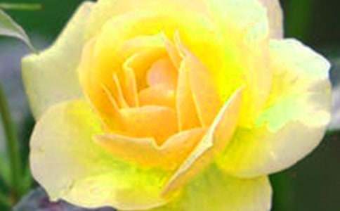 �P(gu��n)�ڰ�ȫ�����ģ����W(w��ng)�j(lu�� )�������ɵĻ���