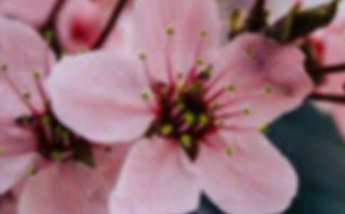 �_(k��i)��ӛ����̎�Ļ���-����