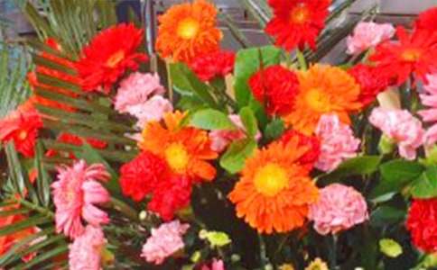 ��(xi��)�ڻ��@�ϵ��R�~