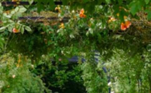 �ʌm�����@���꼉���ģ����x42ƪ��