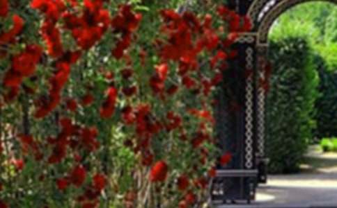 �����˵Ļ��@����Ʒ�̰��OӋ