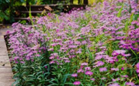 ���l(shu��)�Ļ��@�󡷽̰�