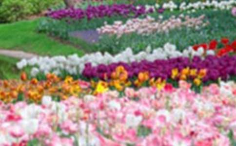 ���»��@�x����ЌW(xu��)��1000������