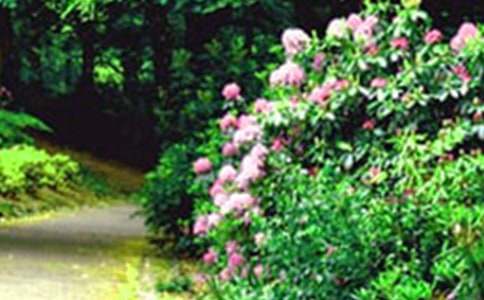 2017�����˵Ļ��@����(y��u)��̌W(xu��)�OӋ