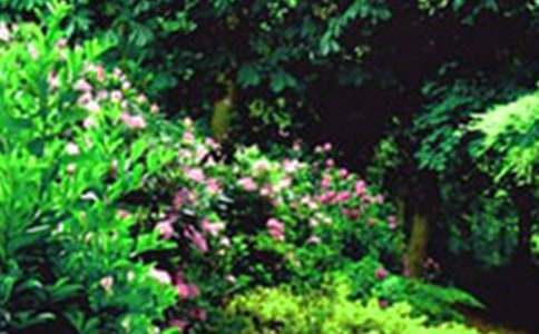 �Ҽ����С���@500�����ģ�ͨ��22ƪ��