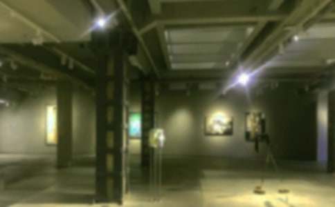 一次難忘的畫(huà)展作文