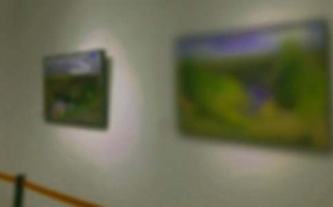 看畫(huà)展作文600字