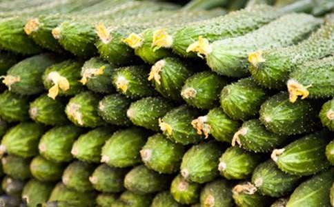 �P(gu��n)���^(gu��n)���S�����L(ch��ng)������