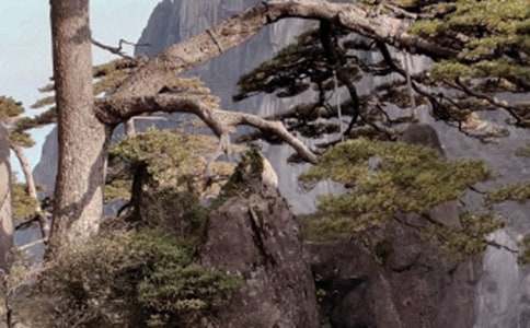 С�W(xu��)�n�ġ��Sɽ��ʯ���̰������x16ƪ��