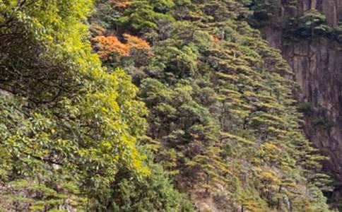 �Sɽ��ʯС�W(xu��)����