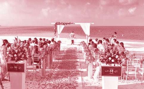 ���ӽY�鸸ĸ��Y�R�~