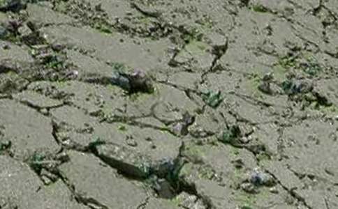 ����������վ�������Y11ƪ