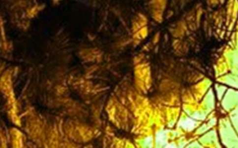 �P(gu��n)�ڻ�ĵ�����600��