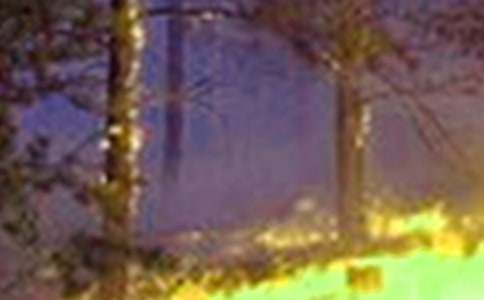 火災作文600字四篇