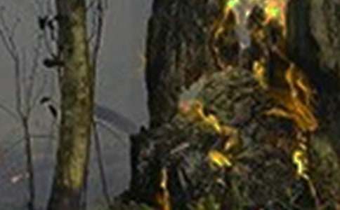 �A��ɭ�ֻ������100��