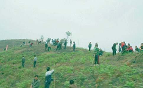 �����]����������300��4ƪ