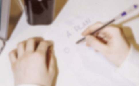 我的初三計劃800字