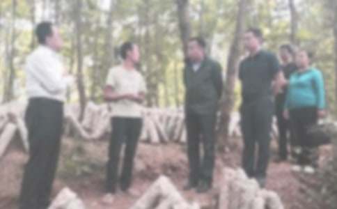 �o�z�����ȹ������Y