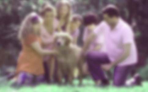 Փ��ͥ��������Ҫ������