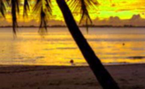 �������ҌW(xu��)��(hu�� )�˪�������800��