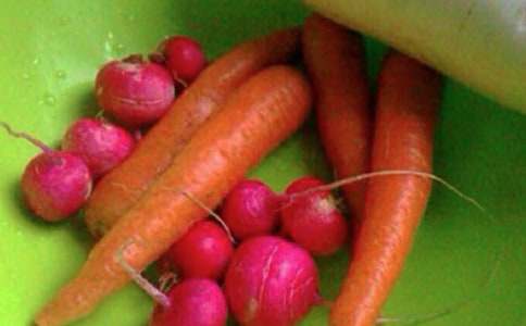 �аཻͨ��ȫ�����̰������x13ƪ��