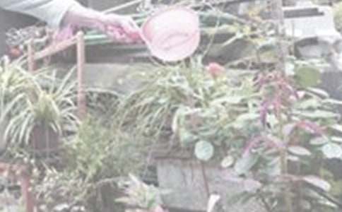 �����桶�_���ĝ������Ľ̰�