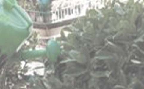 �����A����������300��8ƪ