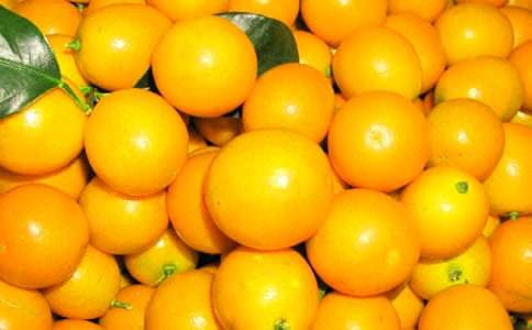 金桔作文600字6篇