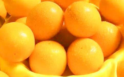 金桔的作文300字四篇