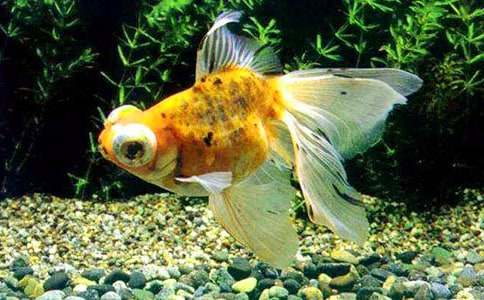 С���~(y��)��β�����g(sh��)�̰�