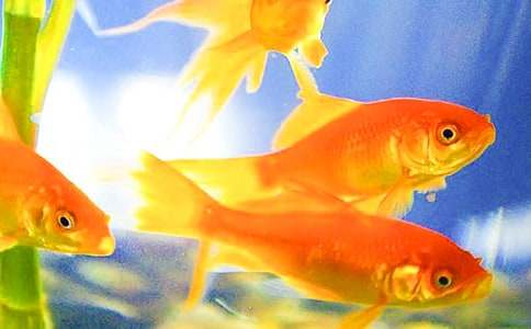 �Č�(xi��)���O��ͽ��~(y��)�Ĺ��¡� - С��������