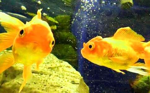 �^(gu��n)����~(y��)���ġ����T(m��n)��