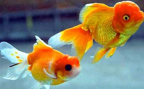 ���~(y��)�ְ����ģ�ͨ��20ƪ��