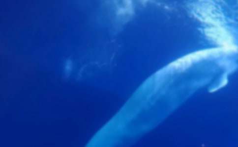 �L�~(y��)���U����800��