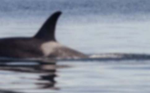 һ�^�L�~(y��)����������700��