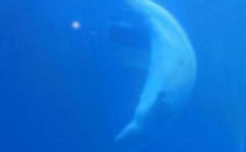 �L�~(y��)����600��4ƪ